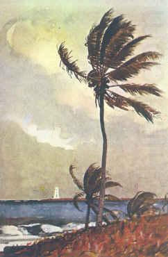 Palm Tree, Nassau, Winslow Homer